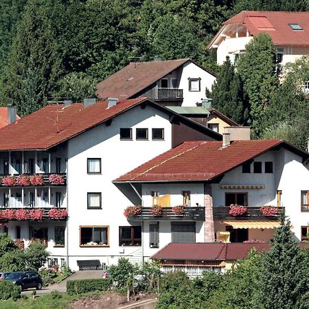 Aparthotel Schwarzwald Panorama บาดวิลด์บาด ภายนอก รูปภาพ