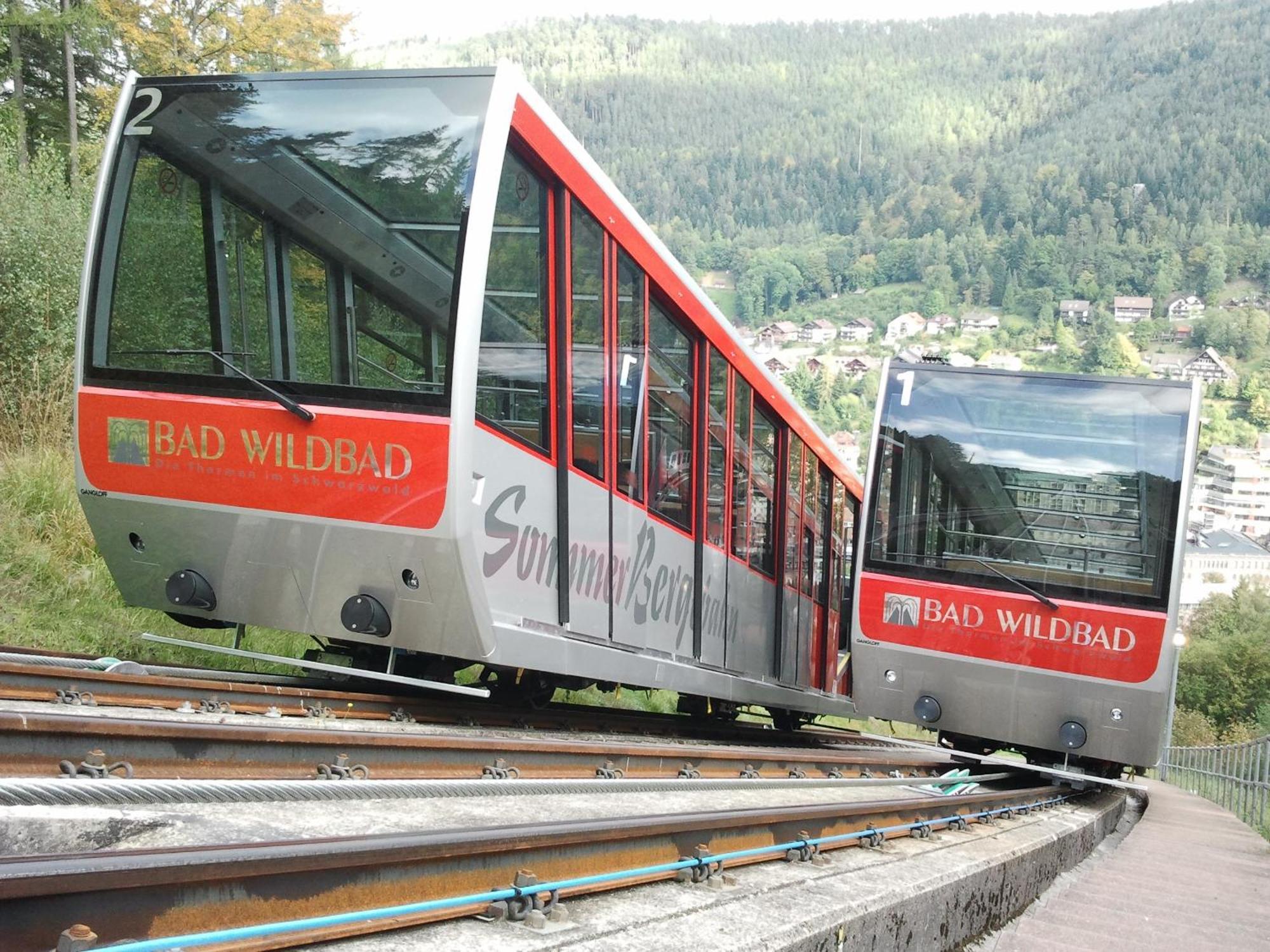 Aparthotel Schwarzwald Panorama บาดวิลด์บาด ภายนอก รูปภาพ