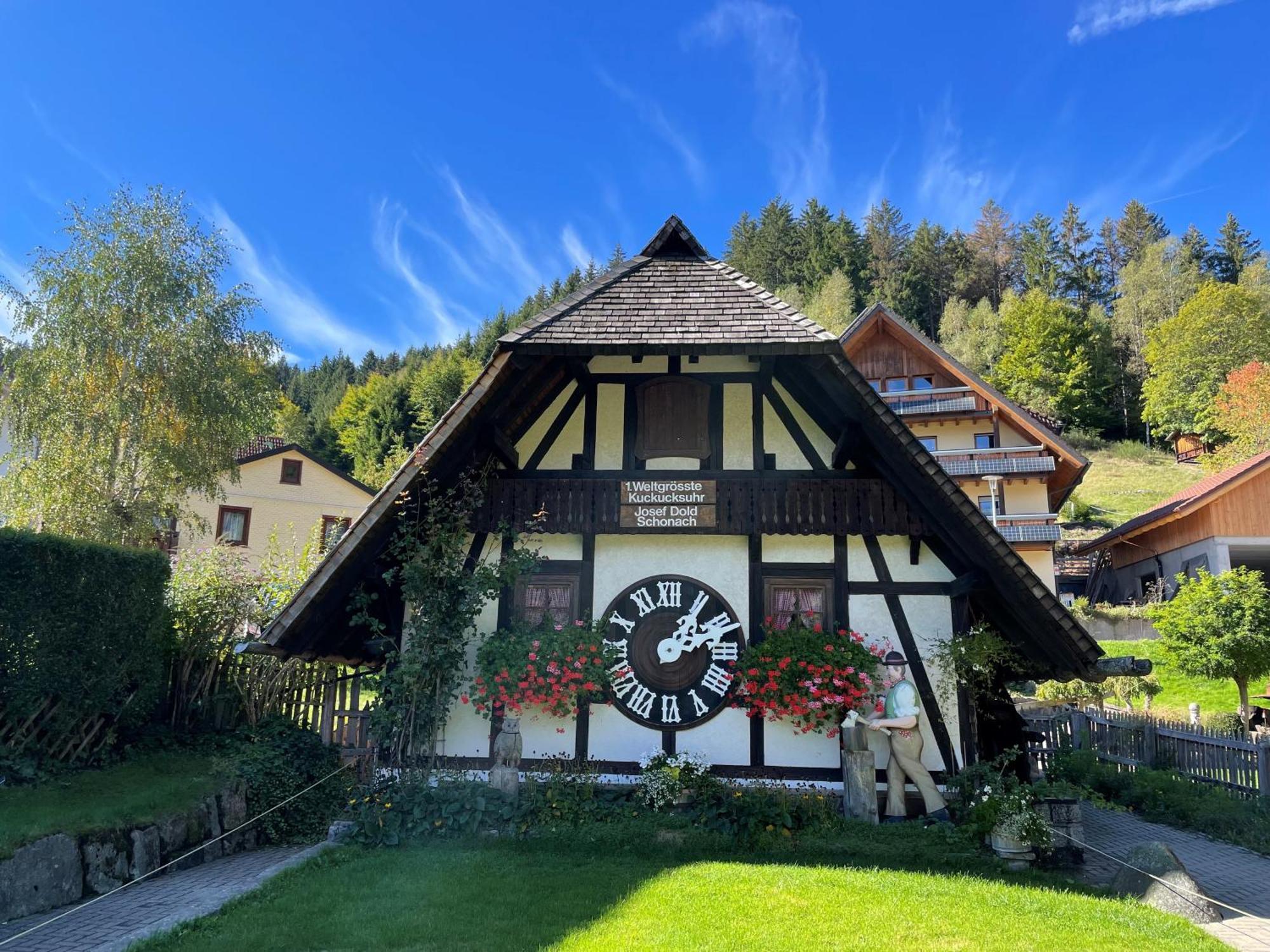 Aparthotel Schwarzwald Panorama บาดวิลด์บาด ภายนอก รูปภาพ