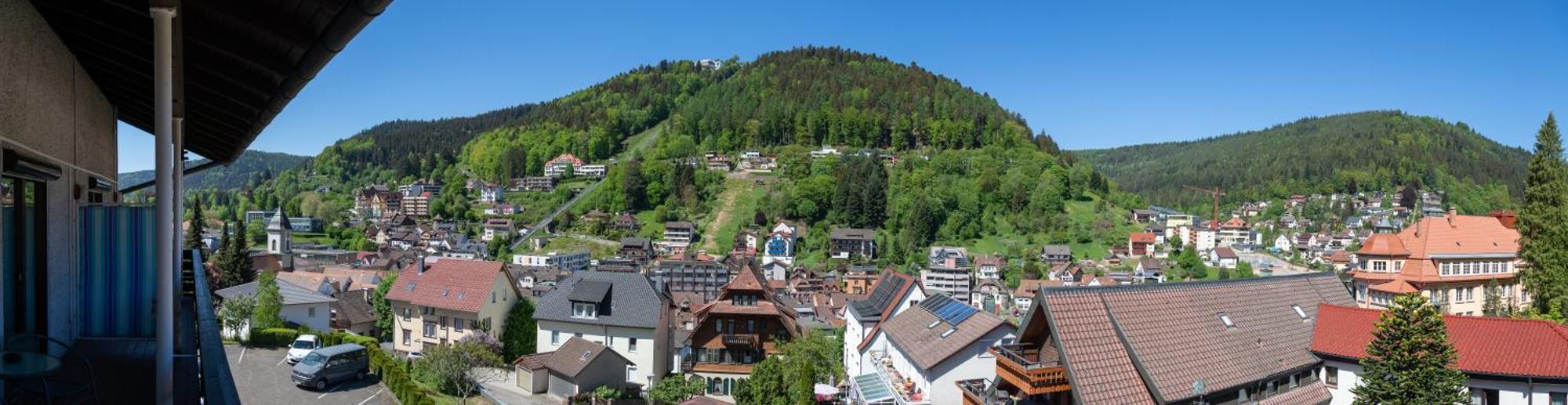 Aparthotel Schwarzwald Panorama บาดวิลด์บาด ห้อง รูปภาพ