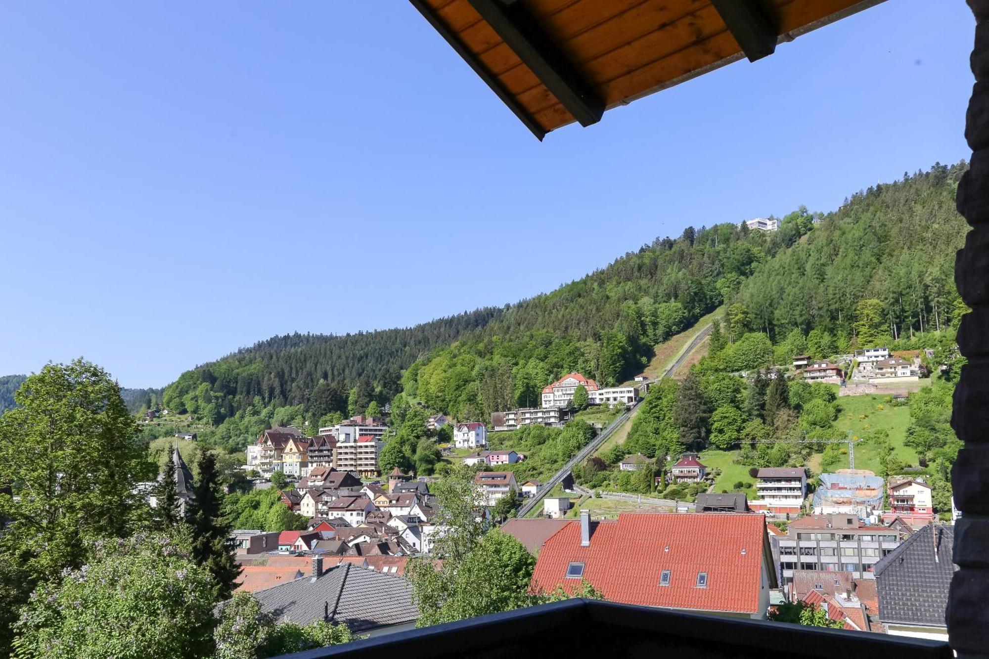 Aparthotel Schwarzwald Panorama บาดวิลด์บาด ห้อง รูปภาพ